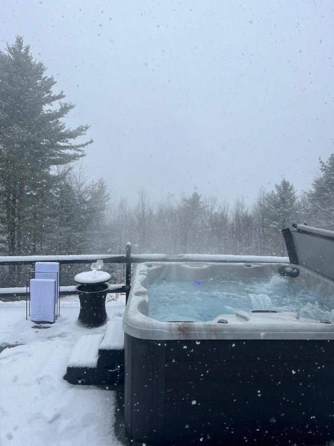 Catskills Cabin: Hot Tub, Firepit, Wfh, Ski, Games Lexington エクステリア 写真