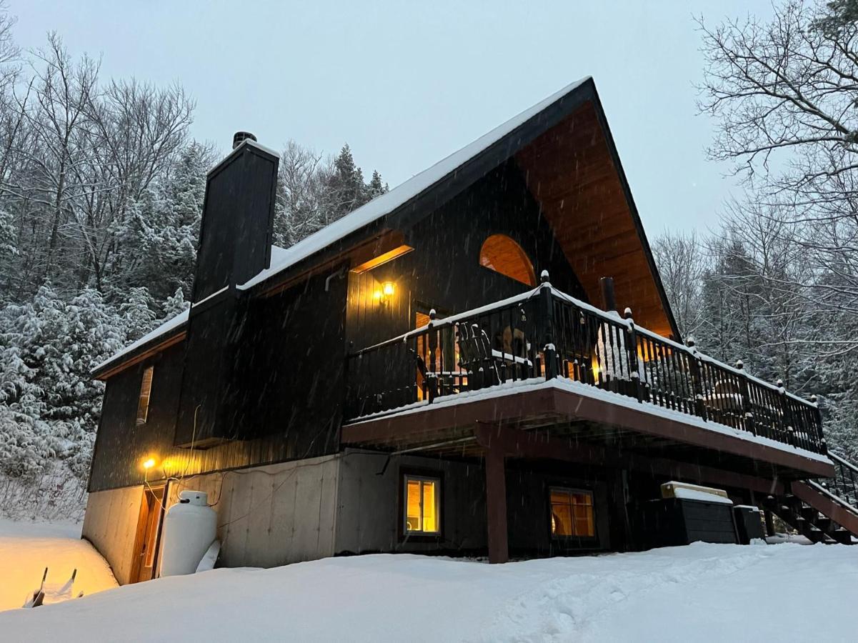 Catskills Cabin: Hot Tub, Firepit, Wfh, Ski, Games Lexington エクステリア 写真