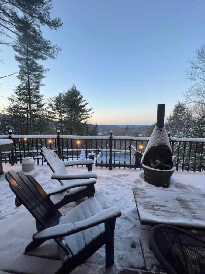 Catskills Cabin: Hot Tub, Firepit, Wfh, Ski, Games Lexington エクステリア 写真