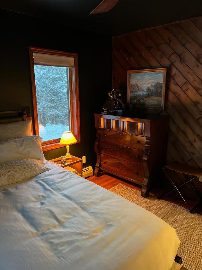 Catskills Cabin: Hot Tub, Firepit, Wfh, Ski, Games Lexington エクステリア 写真